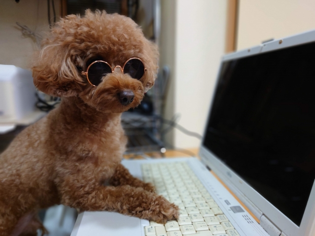 パソコンで検索